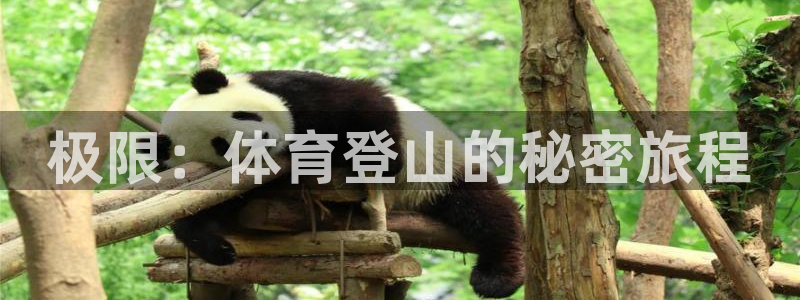 3377体育官方正版app娱乐下载:极限:体育登山的秘密旅程