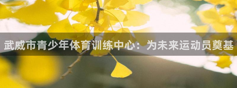 3377体育官网下载平台注册要钱吗安全吗:武威市青少年体育训