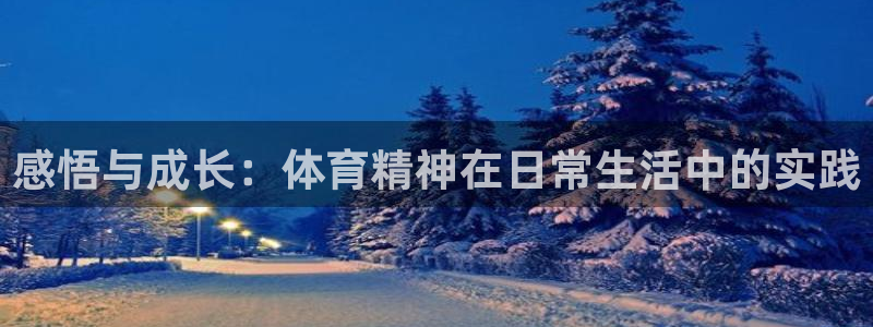 3377体育官网下载平台注册:感悟与成长:体育精神在日常生活
