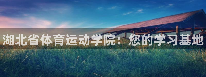 3377体育官网下载平台假的吗是真的吗吗:湖北省体育运动学院